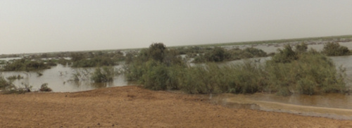 Delta_in_Mauritanie