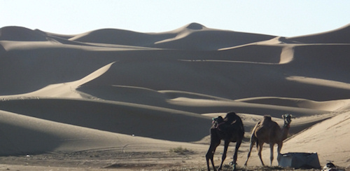 Erg_Chebbi